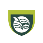Universidad de Los Mochis